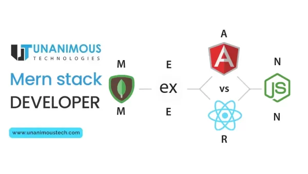 mern stack development